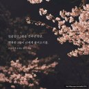 더나날 네이버블로그