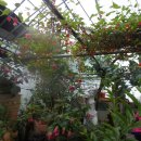 참좋은농장 이미지