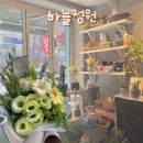 [강남 꽃집/역삼동 꽃집] 전국 <b>꽃배달</b> 가능 다양한 꽃으로 눈과 마음이 즐거운 하늘정원