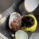 부산서부지원어린이집 | (솔직후기)도담도담산후도우미 부산서부지사