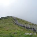 불로장생 이미지