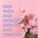 고랑포길 이미지