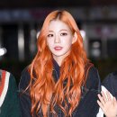 컬러풀헤어 이미지