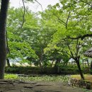 마암초등학교 | 경남 고성 당일치기 드라이브 여행, 장산숲, 장산리 허씨고가, 멋진 교정의 마암 초등학교