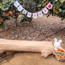 다연농장 이미지