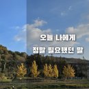 윙윙호프 이미지