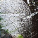 서리풀공원 이미지