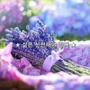 부침막걸리