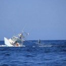 참치의힘 - 부산진구 양지로11번길 16 | 참치의힘