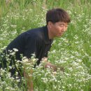 용아농장 이미지