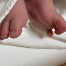 맘스텔라산후조리원 | 미아 가성비 산후조리원 맘스텔라 13박14일 이용 솔직 후기 (예약 , 가격, 장단점, 주차)