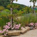 다솔이네 민박 이미지