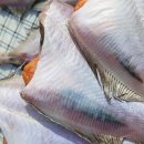 참가자미집 - 해운대구 달맞이길62번길 23 | 참가자미집