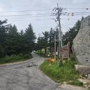 대관령 선자령~재궁골 싱글 라이딩 이미지