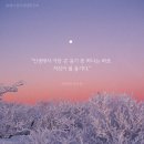 치유명상 심리상담연구소 | [전마투 상담 참여 후기] “진정한 나를 찾겠다는 용기”