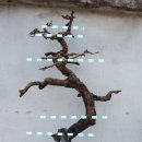 오용농장 이미지