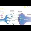 #약국에서써본세번째약이야기,박정완,antihistamine,allergy,진정작용,항콜린성,액티피드,콧물,2세대 ,보나링,주의력떨어짐, 이미지