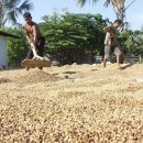 파티오커피 이미지