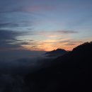 김종권농장 이미지