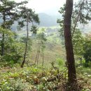 미암4리 경로당 이미지