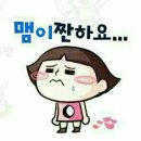 바람난 강아지 이미지