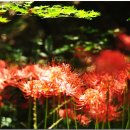 노적봉농장 이미지