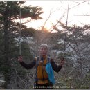 삼화여행사