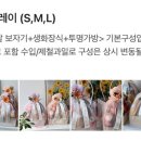 온기청과 이미지