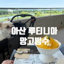 [아산] 아산 브런치 카페, 곡교천 루티니아 (애견동반가능)
