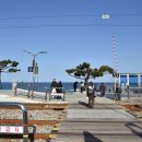 정동진역 이미지