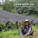 창진농장 이미지