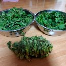 동애여관 이미지