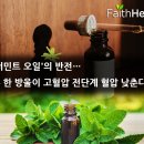 방울이네 - 강동구 양재대로 1655 | 방울이네