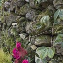 영신목장 이미지