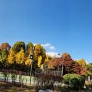 공릉동근린공원 이미지