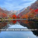 용산-현장-1207 | 내장산 단풍 시기 및 2025년 상세 정보와 다녀온 후기