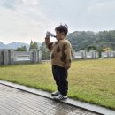 백호용인대합기도 이미지