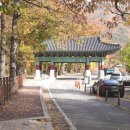 홍제교 밑 | 밀양 표충사 가을 주차장 입장료 등산로 밀양 가볼만한 곳