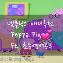 애니피그 이미지