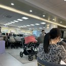 성악교실 | 미즈톡톡 산모교실_유모차, 카시트 교육 다녀온 솔직 후기(베네피아 다산점)