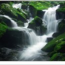 진인목장 이미지