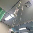 동의의료원 | 장염+간수치 이상으로 동의의료원 입원했던 Log...