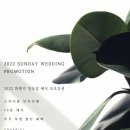 더아리엘