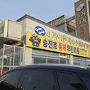 속초 가면 꼭 가야 할 홍게 성지, 승진호 무한리필 후기!