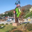 삼척장뇌