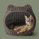 펫하우스(애견샵) 이미지