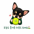 여주 골프 아카데미 | 비 맞으며 찾은 비거리… 다리 부상에도 스코어엔 봄이 올까요? | 클럽72 레이크코스 ⛳️