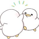 장미로38번길 이미지