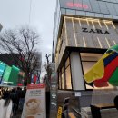 [명동종로 가볼만한 곳 1편]야시장 골목 명동 성당 명동 돈가스 명동 TAS 고양이 놀이터