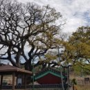 기룡농산물판매장 이미지